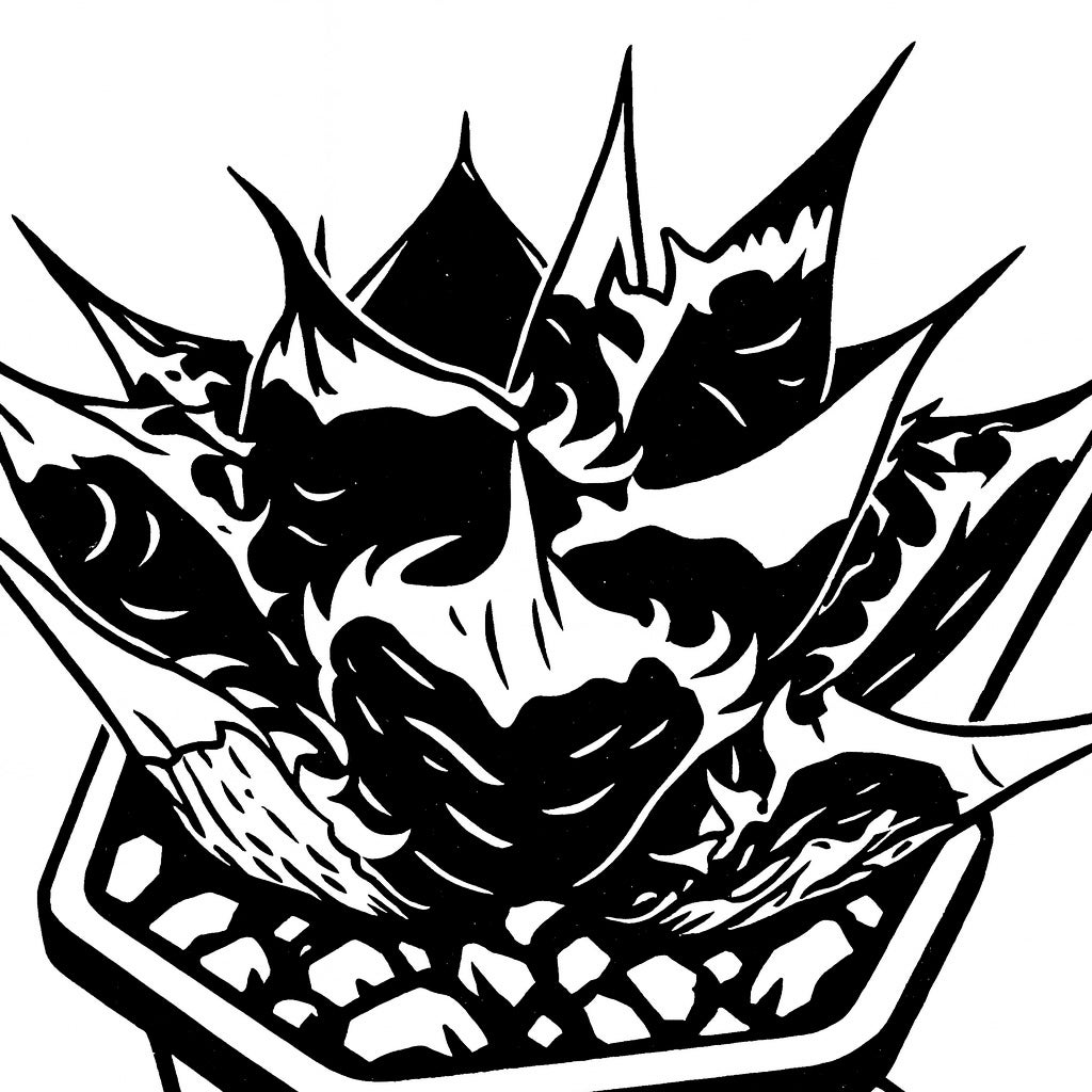 アガベ 育成株販売 | BEAT GARDEN 販売リスト